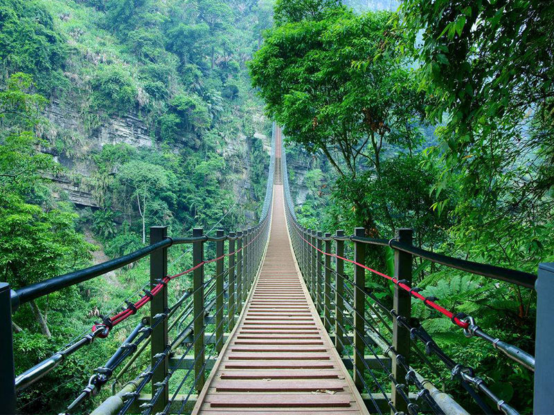 南投竹山梯子吊橋